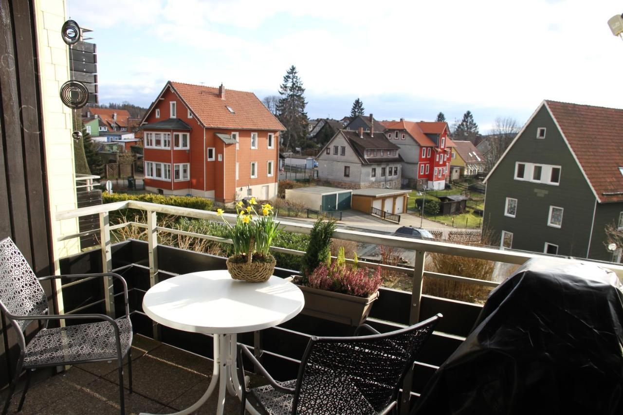 Apartment Am Kurpark Sankt Andreasberg Ngoại thất bức ảnh